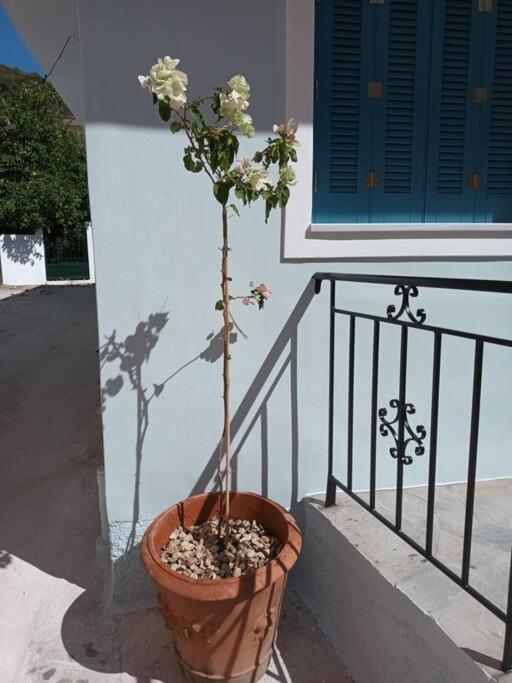 Studio Bella Epidaurus Eksteriør billede